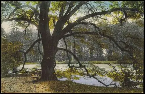 Ansichtskarte Gotha Motiv aus dem Schloßpark 1916