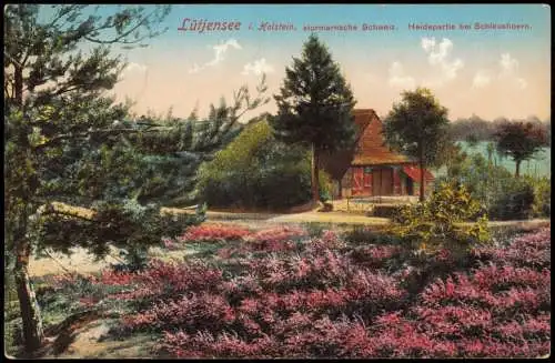 Lütjensee Holstein, stormarnsche Schweiz. Heide partie bei Schleushoern. 1911