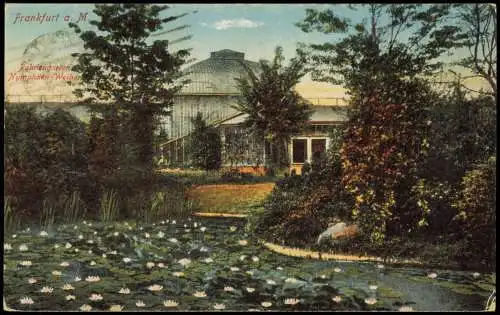 Frankfurt am Main Palmengarten Raimengarten Nymphäen-Weiher 1921