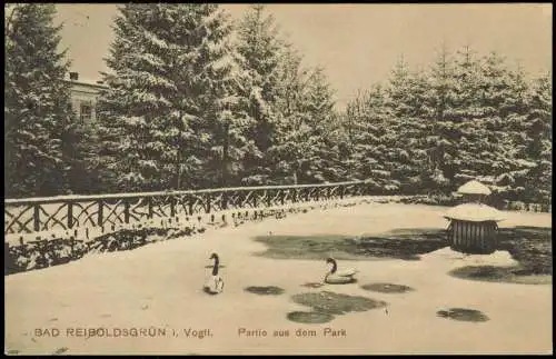 Ansichtskarte Bad Reiboldsgrün (Vogtland) Partie aus dem Park im Winter 1920