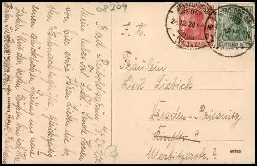 Ansichtskarte Bad Reiboldsgrün (Vogtland) Partie aus dem Park im Winter 1920