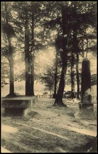 Ansichtskarte Bad Gandersheim Partie auf dem Clusberge. 1913