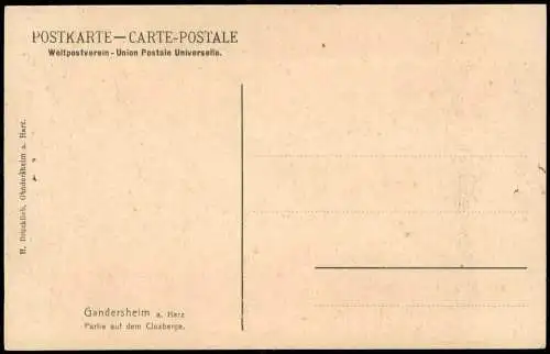 Ansichtskarte Bad Gandersheim Partie auf dem Clusberge. 1913