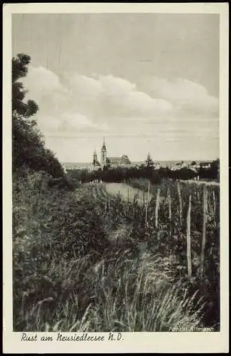 Rust Ruszt Rušta Stadt Weinreben Neusiedlersee 1942  gel. Feldpoststempel WK2