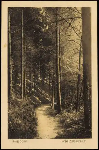 Ansichtskarte Pansdorf-Ratekau Weg zur Mühle 1930