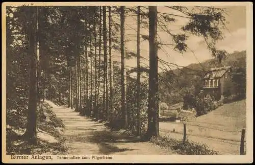 Ansichtskarte Barmen-Wuppertal Barmer Anlagen, Tannenallee zum Pilgerheim 1931