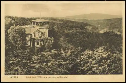 Ansichtskarte Barmen-Wuppertal Blick vom Tölleturm ins Murmelbachtal 1924