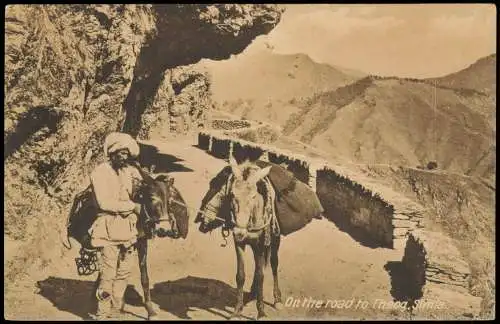 Postcard Theog Shimla Indien On the road Typen Mann und Esel 1917  India