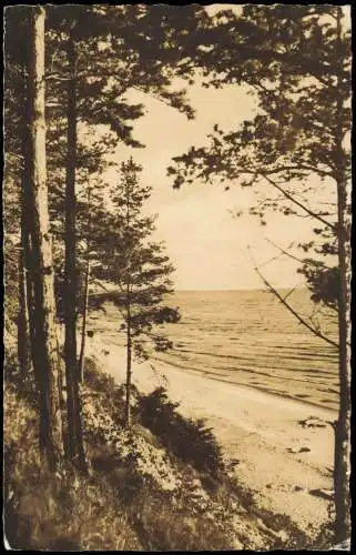 Lot 6 Ansichtskarten Grüße von der Ostsee, Möwen, Wellen, Stimmungsbilder 1960