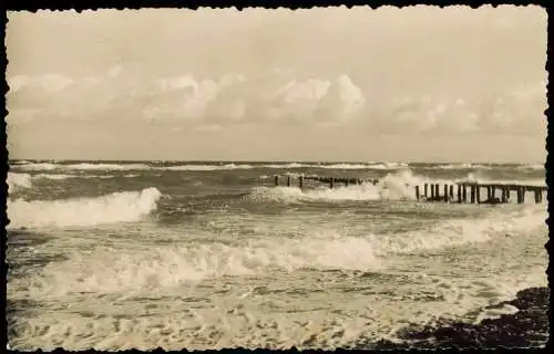 Lot 6 Ansichtskarten Grüße von der Ostsee, Möwen, Wellen, Stimmungsbilder 1960