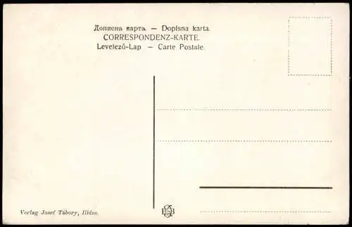 Postcard Ilidza Ilidža Parthie an den Bosnaquellen 1916  Bosnien