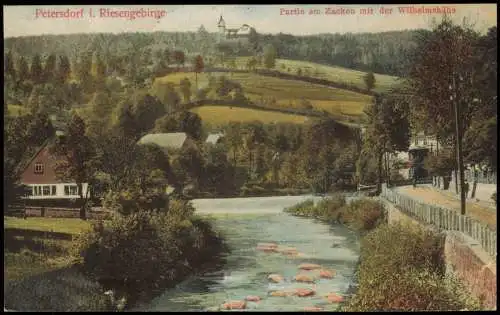 Petersdorf (Riesengebirge) Piechowice Partie am Zacken mit der Wilhelmshöhe 1911