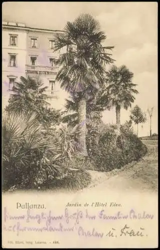 Pallanza-Verbania Jardin de l'Hôtel Eden 1906  Italien Piemont  Italien Piemont