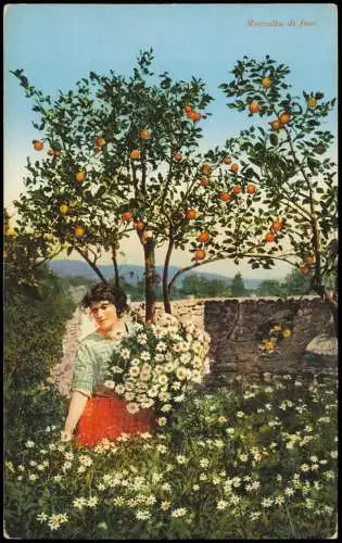 .Italien Italia Italienische Trachten Raccolta di fiori Frau Orangenbäume 1913