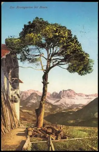 Cartolina Bozen Bolzano Der Rosengarten Baum und Hütte 1909  Südtirol