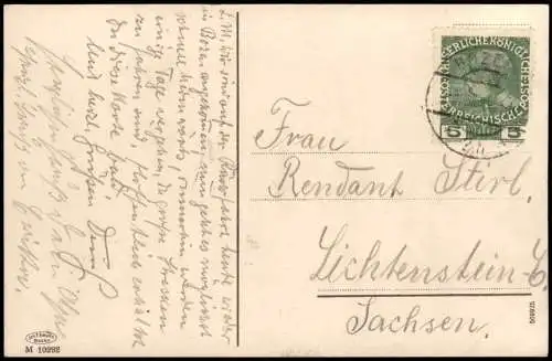 Cartolina Bozen Bolzano Der Rosengarten Baum und Hütte 1909  Südtirol