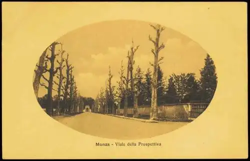 Cartolina Monza Monza Viale della Prospettiva 1915