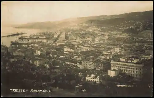 Cartolina Triest Trieste Stadtblick 1924