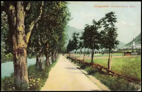 Ansichtskarte Bad Hofgastein Alexander Moser-Allee. 1907