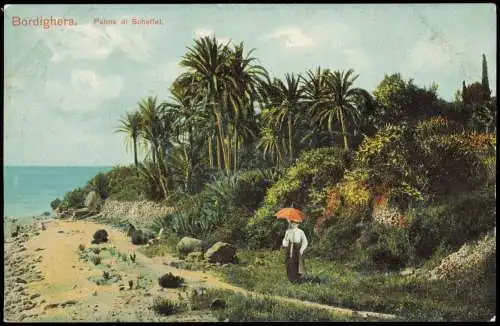 Cartolina Bordighera Palme di Scheffel 1909