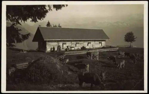 Ansichtskarte Vitznau Alp Romiti 1925