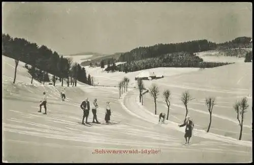 Ansichtskarte .Baden-Württemberg Schwarzwald-Idylle - Skifahrer Winter 1919