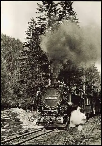 Kipsdorf-Altenberg (Erzgebirge) Schmalspurbahn Freital-Hainsberg Kipsdorf c1983