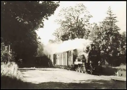 Philippshagen-Göhren (Rügen) Schmalspurbahn  bei der Einfahrt  1985