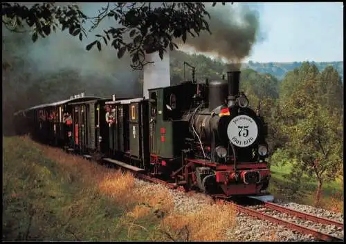 Möckmühl Historischer Dampfzug der Schmalspurbahn Möckmühl - Dörzbach 1977