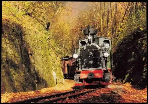 Dampflokomotive im Rabenauer Grund zw. Spechtritz u. Seifersdorf 2013