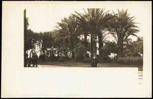 Cartolina Neapel Napoli Unter den Palmen - Park 1912