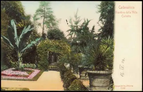 Bellagio Giardino della Villa Carlotta- Comer See Cadenabbia 1906