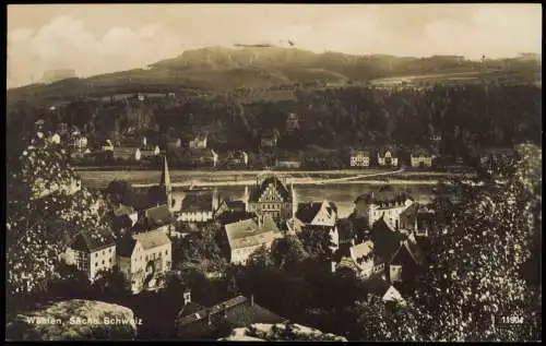 Ansichtskarte Wehlen Stadtpartie - Fotokarte 1928