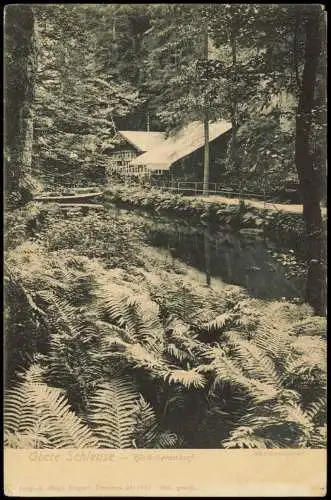 Ansichtskarte Hinterhermsdorf-Sebnitz Obere Schleuse - Farne 1908