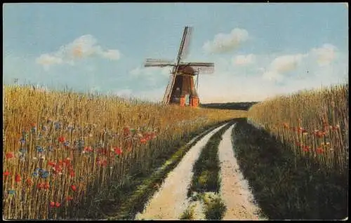 Ansichtskarte  Windmühlen Windmill weg im Kornblumenfeld 1919