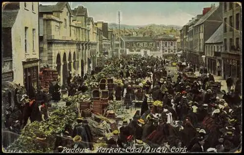 Postcard Cork Corcaigh Padouts Market Coal Quay 1909 Éire Ireland