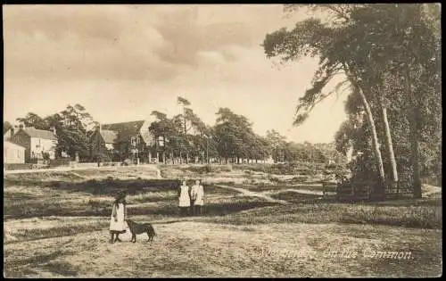 Postcard Weybridge On the Common. 1908  England Great Britain