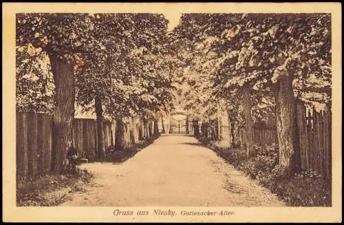 Ansichtskarte Niesky Oberlausitz Niska Gottesacker-Allee. 1919