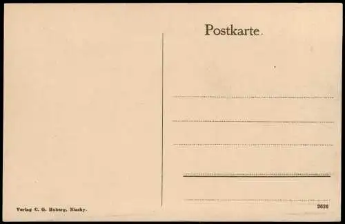 Ansichtskarte Niesky Oberlausitz Niska Bautzenerstrasse Villa 1909