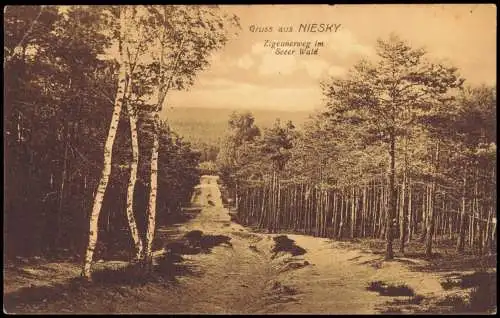 Ansichtskarte Niesky Oberlausitz Niska Zigeunerweg im Seeer Wald 1928