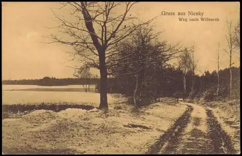 Ansichtskarte Niesky Oberlausitz Niska Weg nach Willesruh 1916