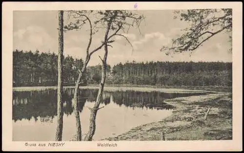 Ansichtskarte Niesky Oberlausitz Niska Waldteich 1914