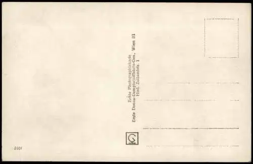 Ansichtskarte Engelhartszell Stadt Schiffe Dampfer Steamer Fotokarte 1929