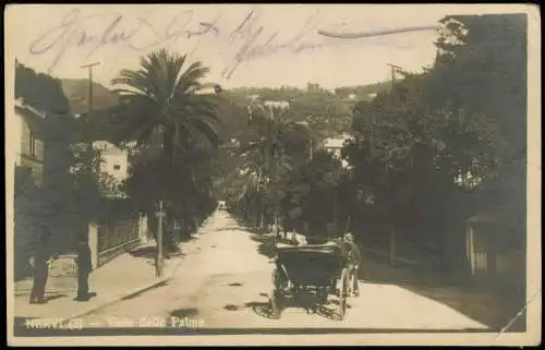 Cartolina Nervi-Genua Genova (Zena) Viale delle Palme. 1928