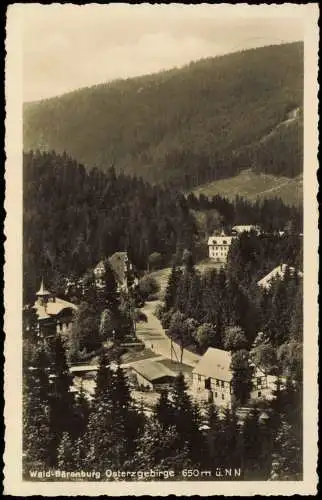 Ansichtskarte Waldbärenburg-Altenberg (Erzgebirge) Stadtpartie 1935