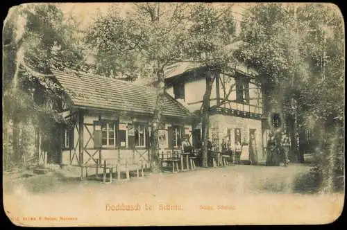 Ansichtskarte Sebnitz Restaurant Hochbusch 1915  gel. Feldpoststempel