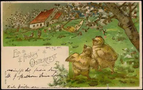 Ansichtskarte  Ostern Easter Küken Schmetterling auf Wiese 1904 Goldrand