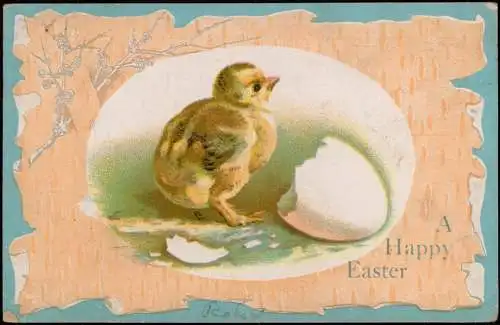 Ostern Easter Küken schlüpft aus Ei Silber USA 1908 Prägekarte