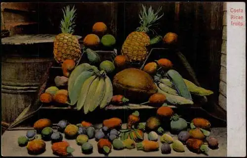 Costa Rica (Allgemein) Costa Rican fruits. Typen AK exotische Früchte 1912