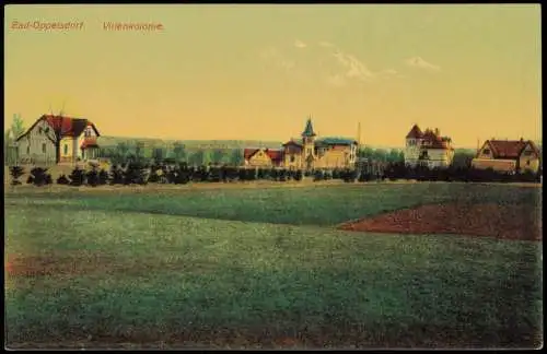 Postcard Bad Oppelsdorf Opolno Zdrój Villenkolonie. 1911